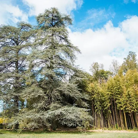 Domaine Des Eglantiers דירה Cardet