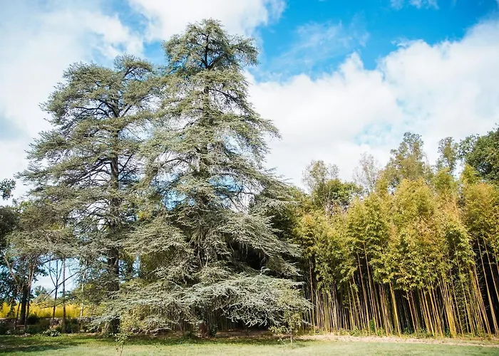 Domaine Des églantiers Appartement Cardet